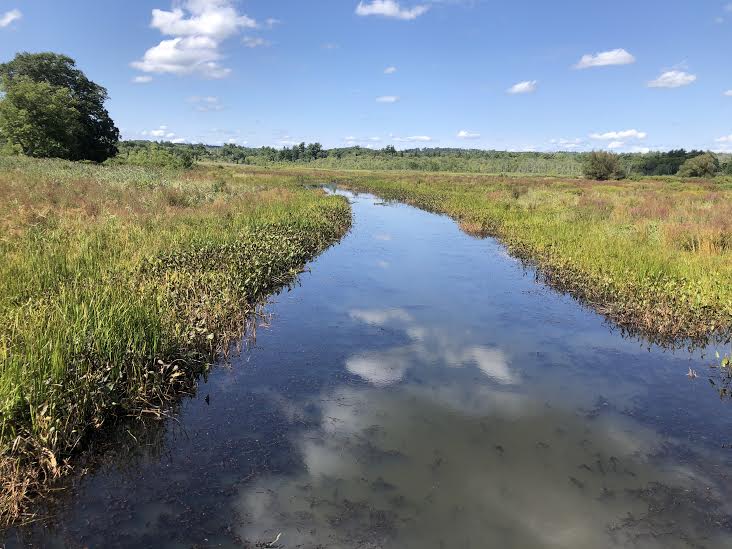 White Memorial, CT - a good reminder of home. 